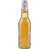 Galvanina Ginger bio in bottiglia 330 ml