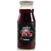 Il Baggiolo - Azienda Montana Abetone Nettare di Frutta ai Frutti di Bosco 200ml BIO