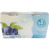 Antico Podere Bernardi Yogurt mirtillo 2x125 g BIO