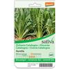 Sativa Cicoria catalogna 1.25 g BIO