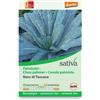 Sativa Cavolo palmizio - nero di toscana 1.25 g BIO