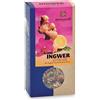 Sonnentor Infuso zenzero e limone 80 g BIO
