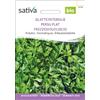 Sativa Prezzemolo liscio 2.5 g BIO