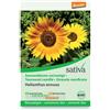 Sativa Girasole ramificato 2.5 g BIO