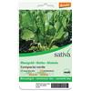 Sativa Bietola - compacte verde 2.5 g BIO