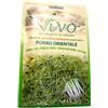 Hortus sementi Porro Orientale 10g BIO