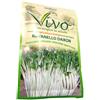Hortus sementi Ravanello Daikon 25g BIO
