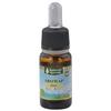 Olio MAP Aromap Olio 10 Ml ml