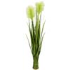 Flair Flower Pampasgrasbund Künstliches Gras Federgras Deko Bund Pflanze Grasbusch Gräser Schilf Kunstpflanzen Pampas Erba Piume di Pampa, Piedi, Artificiale, pianta Decorativa, Verde, 87x16x16 cm