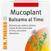 Naturwaren THEISS MUCOPLANT BALSAMO TIMO 50 ML