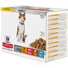 Hill's Adult Sterilised multipack cibo umido per gatto 2 scatole (24 x 85 g)