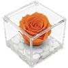 Premium-rose.com OneFlower by PREMIUM ROSE - Cubo Rosa Stabilizzata 6 cm con Marmo di Carrara Made In Italy - Rosa Eterna Stabilizzata Idea Compleanni e Celebrazione Nuovi Traguardi - Arancione 1066