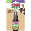 KONG Naturals Catnip Spray 1 PZ