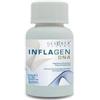 FORZA VITALE ITALIA SRL INFLAGEN DNA 60CPR 54G