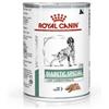 6057 Royal Canin Diet Diabetic Special Low Carbohydrate Patè Per Cani Lattina 410g 6057 6057