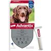 Advantix® Spot-on antiparassitario per Cani da 25 kg a 40 Kg, 6 pipette da 4 ml. Elimina zecche, pulci, pidocchi e larve di pulce in casa. Protegge da zanzare, pappataci e rischio di leishmaniosi.