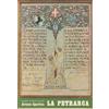 Poligrafico Aretino La Petrarca. 100 anni di attività ginnico sportiva folkloristica