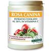 GIORGINI SER-VIS SRL Rosa Canina Estratto Integrale Titolato Polvere Dr.Giorgini 500g