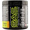 Net Integratori G.A.C FOSFATIDICO aminoacidi post-workout gusto ARANCIA 200g