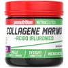 Pro Nutrition PRONUTRITION COLLAGENE MARINO con acido ialuronico 160gr gusto MIRTILLO