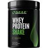 SELF OMNINUTRITION WHEY PROTEIN SHAKE proteine del siero del latte 1kg GUSTO PISTACCHIO