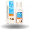 ICF Clorexyderm Soluzione disinfettante 4% ICF - 100 ml