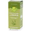 Olivo Infuso Foglie 500 Ml ml Soluzione orale