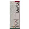 Biokyma Tintura Madre Lavanda Sommità Fiorite 100 Ml