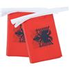 AZ FLAG Ghirlanda 6 Metri 20 Bandiere Albania 21x15cm, Bandiera Albanese 15 x 21 cm - Festone Bandierine