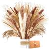 ZJTAPE Piume Erba Della Pampas - Set di Erba di Pampa Essiccata Naturale, Erba di Pampa Marrone Fronde Soffici, Bouquet di Fiori Secchi per il Matrimonio Perfetto, Decorazioni Per la Casa