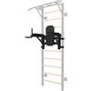 toorx DIP-STATIONLDX3000 - Dip Station per spalliera multifunzionale LDX-3000