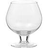 CV-CRISTAL 214/15