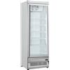 Frigo per bibite AFP/LS600G