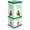 Ficus carica mg 100 ml gocce