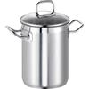 Schulte-Ufer 69061-18 Pentola per asparagi Profi-Star, 18 cm, Inserto Incluso