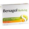 Benagol - Benagol Herbal Gusto Miele 24 Pastiglie