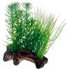 Hobby Flora Root 2. S - 17 cm. SB
