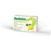Esserre Pharma Srl Redulen Colesterolo 30 Compresse