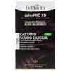Euphidra ColorPro XD 355 Castano Scuro Ciliegia
