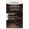 Euphidra ColorPro XD 550 Mogano