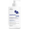VEBI PHARMA SRL VEBIX DERMOLINE FIORDALISO DETERG.INTIMO 500 ML