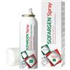 ALFASIGMA SPA MEDICAZIONE IN POLVERE SPRAY CON CAOLINO E ARGENTO SULFADIAZINA 1% SOFARGEN SPRAY 10 G BOMBOLETTA PRESSURIZZATA 125 ML