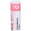 Thuya Cemon Thuya Occidentalis 30Ch Globuli 2 g