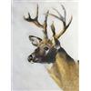 James Coates Biglietto di auguri con cervo e dipinto di cervo formato A5