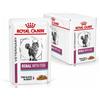 Royal Canin gatto Renal With Fish -12x 85 gr