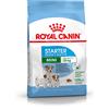 Royal Canin Mini Starter - 1 kg