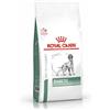 Royal Canin Diabetic Canine -1.5 kg