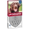 Bayer - Advantix Spot-on per cani dai 25 kg ai 40 kg - Unità di vendita: 1 confezione - 6 pipette da 4,0 ml