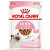 Royal Canin Kitten umido in Salsa per gatti - Set %: 48 x 85 g