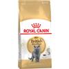 Royal Canin Breed Multipack risparmio! 2 x Royal Canin Feline Crocchette per gatti - 2 x 10 kg British Shorthair Adult